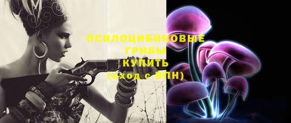 apvp Аркадак
