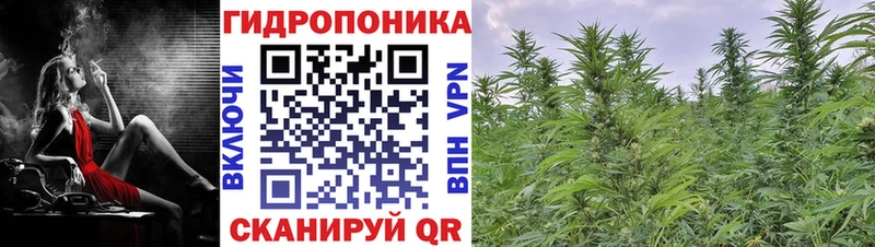 закладка Далматово Канабис LSD WEED